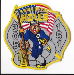 New York Fire Department (FDNY) Motore 305 Scala 151 Patch V1 - Foto 1 di 2