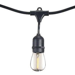 Outdoor/Indoor 30 ft. Plug-in S14 LED Black String Light with Clear Shatter 10 - Picture 1 of 6