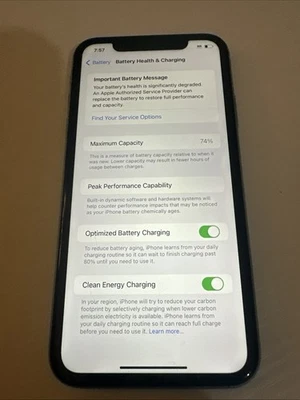 Apple iPhone 11 64GB Verde (Desbloqueado) Usado Estado BH74% - para piezas o reparación Foto 1 de 4