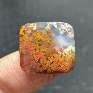 Tiny Scenic Moss Agate Cabochon 16x15x4.3mm High Quality 11.5 ct - Picture 1 of 6