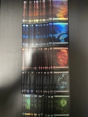 100× MTG Wilds of Eldraine FOIL Basic Land Plains Swamp Island Mountain Forest - Image 1 of 4