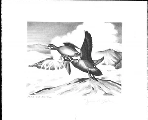 RW19 1952 FEDERAL DUCK STAMP PRINT HARLEQUIN by John Dick 2nd edition - Picture 1 of 1