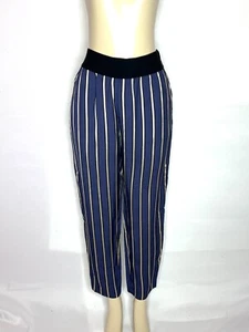 CAPPELLINI BLUE GRAY STRIPE RAYON SIZE ZIP ANKLE PANT SIZE 44 Made In Italy - Picture 1 of 4