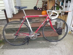 Centurion Expert David Scott Bicycle - Picture 1 of 9