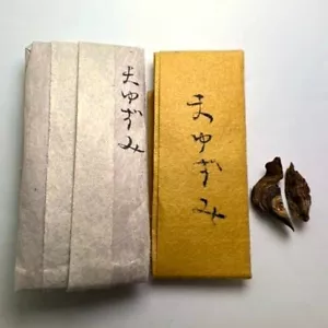 Natural Agarwood Kyara Kynam Mayuzumi Kodo Fragrant Wood Cuts Yamadamatsu 0.17g - Picture 1 of 9