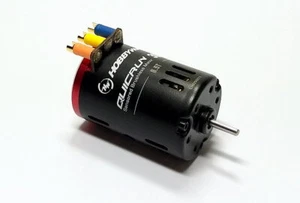 HOBBYWING QUICRUN G2 3650SD 8.5T 4560KV RC Model Sensored Brushless Motor IM399 - Picture 1 of 5