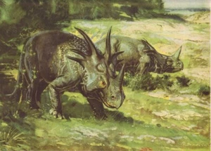 CANADA Prehistoric Dinosaur STYRACOSAURUS Color Print By Z Burian 1963 VF 9x13" - Picture 1 of 2