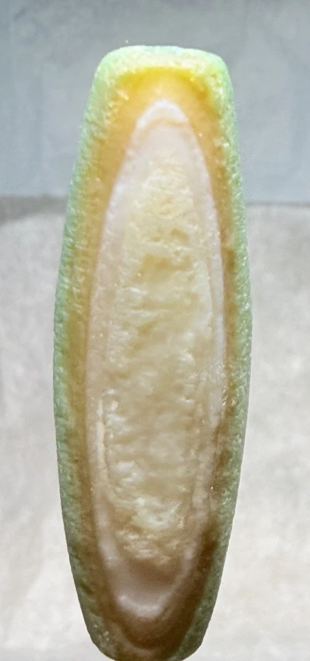 Talismán mongol Gobi desierto ágata 2 ojos cuentas Dzi, líneas de gusano de seda colorido🔥 Foto 1 de 4