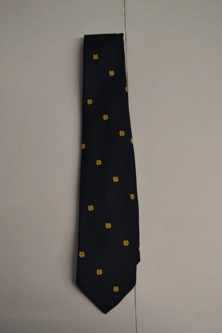 Vintage Notre Dame Tie By Prince Consort Golden Clasp Bookstore Exclusive Cover
