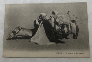 Egitto - La preghiera nel deserto. Cartolina (M2) - Foto 1 di 2