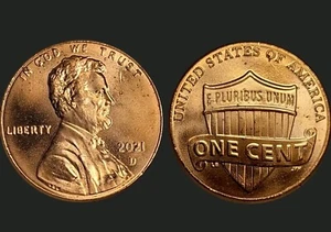 2021 D Lincoln Shield Cent BU Bank Roll Uncirculated - Free Shipping - Charity - Picture 1 of 1