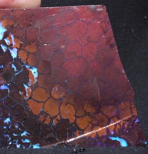 Brilliant Boulder Opal with honeycomb pattern from Australia - 132 grams - Picture 1 of 12