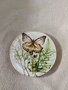 Farfalla rotonda Trivit - Foto 1 di 6