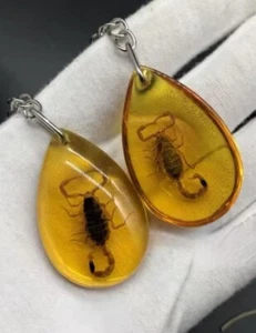 Amber Variety with Inclusion Scorpion (Polybern) 250 Million BC - Picture 1 of 19