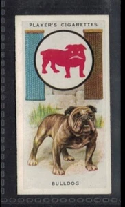 BULLDOG Boy Scout & Girl Guide Card - 90 + years old # 2 - Picture 1 of 2