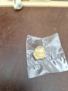 SCHWAN'S  Delicious Ice Cream Sales Award Pin (NEW Vintage) - Picture 1 of 4