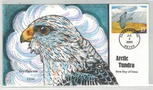 2003 COLLINS HANDPAINTED ALASKA ARCTIC TUNDRA ANIMALS GYRFALCON BIRDS - Picture 1 of 1