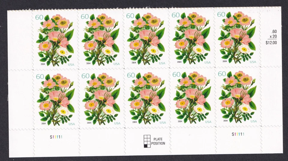 Scott #3837 Pink Roses Bouquet Plate Block of 10 Stamps - MNH - Image 1 of 1