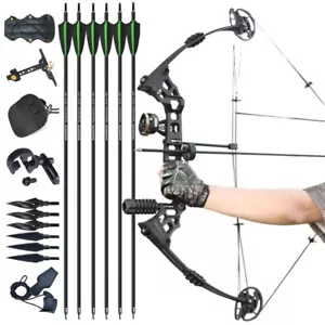 Archery Compound Bow Arrows Set 20-70lbs Stabilizer Hunting Shoting Target - Picture 1 of 16