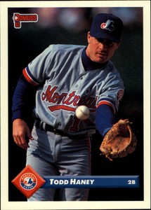 1993 Donruss Montreal Expos Baseball Card #342 Todd Haney Rookie