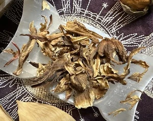 Flor de hibisco blanco, pureza, devoción, amor, adivinación, rejuvenecimiento, bruja - Imagen 1 de 2