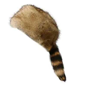 Verdickt Ohren schutz mütze Waschbär schwanz Flache Top-Kappe Winter mütze NEU - Bild 1 von 7