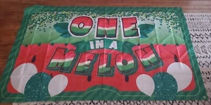 One in A Melon Backdrop Banner 1st Watermelon Birthday Supplies Party - Picture 1 of 1
