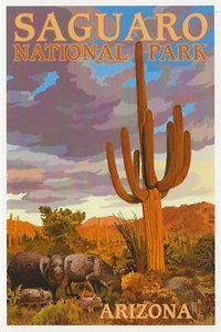 Postcard Arizona Saguaro National Park - Javelina MINT Unused - Picture 1 of 1