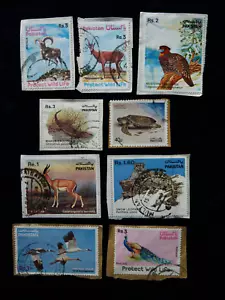 PAKISTAN - LARGE SELECTION 1975-84 WILDLIFE PROTECTION STAMPS KILOWARE-ON PAPER - Picture 1 of 6