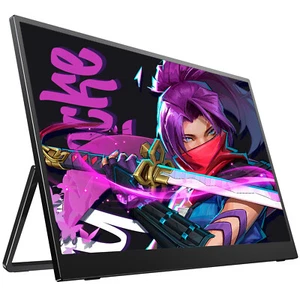 4K Portable Monitor 17.3" Gaming Monitor 100% Adobe RGB Screen with VESA Mount - Picture 1 of 10