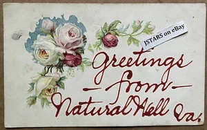 circa 1909 NATURAL WELL, VA, EMBOSSED ROSES GREETINGS POSTCARD - Picture 1 of 2