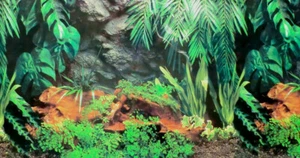 Hobby Rückwandfolie 120 cm x 60 cm (EUR 19,43/m²) Terrarien Aquarien Hintergrund - Bild 1 von 3