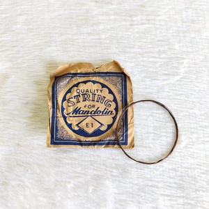 1930s Vintage Quality String For Mandolin E1 With Cover Decorative M490 - Picture 1 of 6