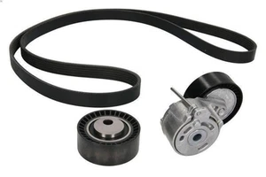 Kit Cinghie Poly-V INA 529 0017 10 per PEUGEOT 406 (8B) 2 1998-2001 - Picture 1 of 8