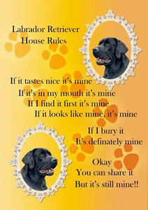 Labrador Retriever Comic Hundesignal ""It's Mine"" A4 laminiertes Posterdruck lustiges Geschenk - Bild 1 von 1