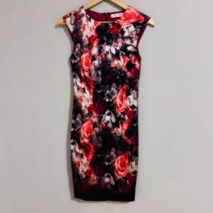 Alannah Hill Sleeveless Rose Floral Satin ‘Get Cracking’ Pencil Dress Size 6 - Picture 1 of 10