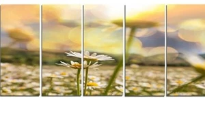 Designart Erstaunliche Kamille Blumenfeld 5-Panel Leinwandbild 60"x28" Neu Offener Karton - Bild 1 von 8