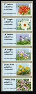 GUERNSEY 2018 POST & GO FLORES ENVIADO CASA CONJUNTO DE 6 MNH - Imagen 1 de 1
