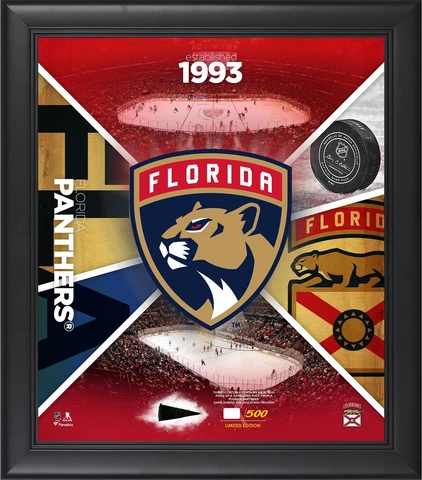 Florida Panthers Framed 15" x 17" Team Impact Collage with a Piece of GU Puck Cover