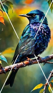 Blue Starling Bird Digital Art Wallpaper. Phone/PC Background Art. Digital Art - Picture 1 of 3