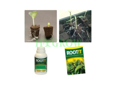 ROOT IT FIRST FEED Propagation Nutrient-Rooting cuttings New 250ml - Image 1 of 3