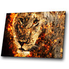 Animal Canvas Print Framed Kitchen Wall Art Photo Picture Lion Orange Yellow Red