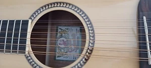 12 string acoustic guitar with a molded hard case - Picture 1 of 6