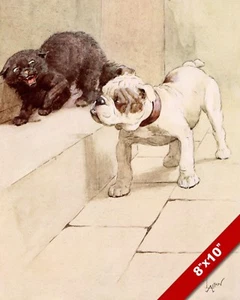 BULLDOG & CAT PET PUPPY DOG ART CECIL ALDIN PAINTING PRINT ON REAL CANVAS - Picture 1 of 1
