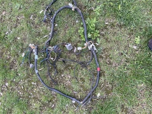 Aprilia Rs125 1999-2005 Wiring Loom Harness - Picture 1 of 4