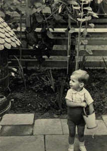 Boy Holding Bucket Standing In Garden B&W Photograph 2.75 x 3.75 - Picture 1 of 3