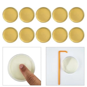 10 Stück für Schimmeltest-Kit für Zuhause Zum Selbermachen für Schimmelbewer - Bild 1 von 12