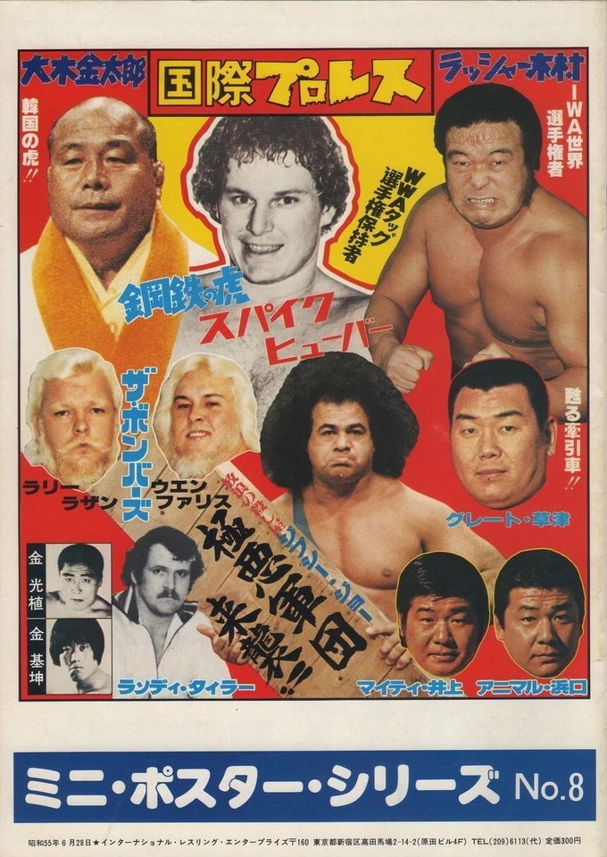 JAPAN WRESTLING  VOLS  21-30 - PRO WRESTLING - Image 1 of 1