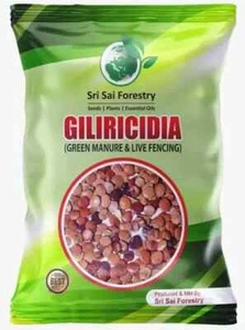 Gliricidia Sepium Tree Seebs 500 Gram For Fodder Manure Live Fencing USA Quality - Picture 1 of 3
