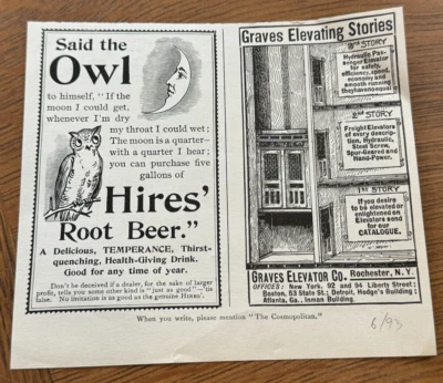 Anuncio impreso de 1893 contrata cerveza de raíz/elevador de tumbas/queso azul real/carne de res de Cudahy's Ex Foto 1 de 2